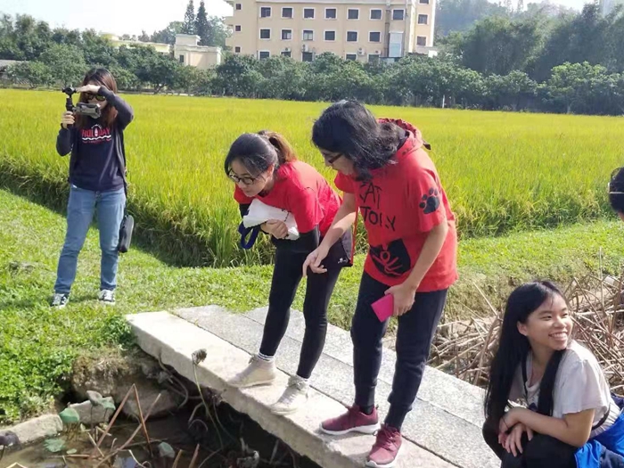 WeChat Image 20181210115940