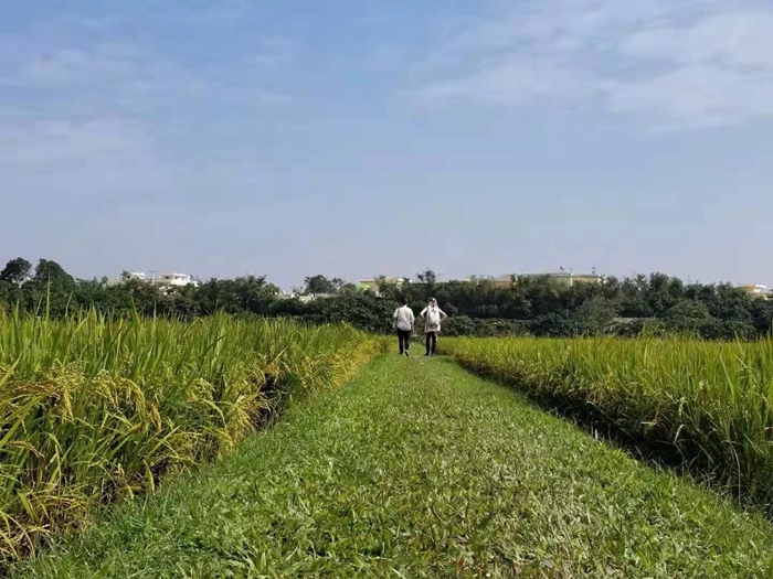 WeChat Image 20181210115447