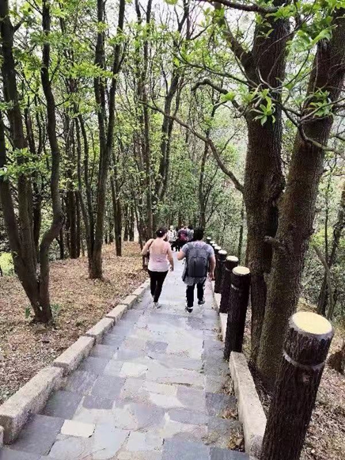 WeChat Image 20181210115945